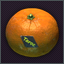 Mandarina